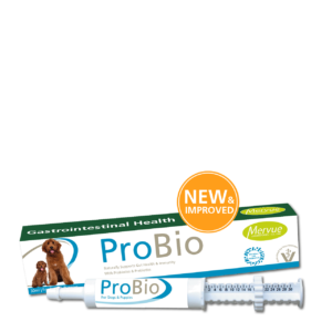 Dog & Puppy ProBio Paste, 30ml
