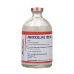 Amoxycillin 15% Inj.-100ml