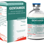 Achaapharm – Gentamox Plus Inj.-100ml