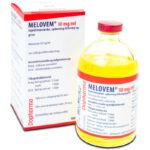 Melovem 30mg/ml Inj. – 100ml