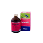 Introvit Multivitamin Inj., 100ml