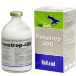 Penstrept Inj.- 100ml