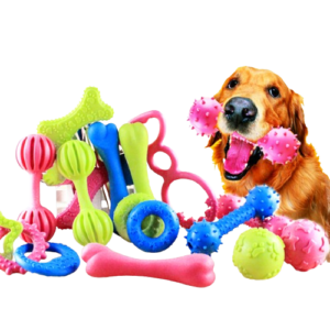 Squeezy Dog toy