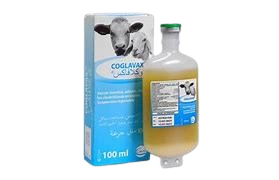 Coglavax Vaccine, 100ml